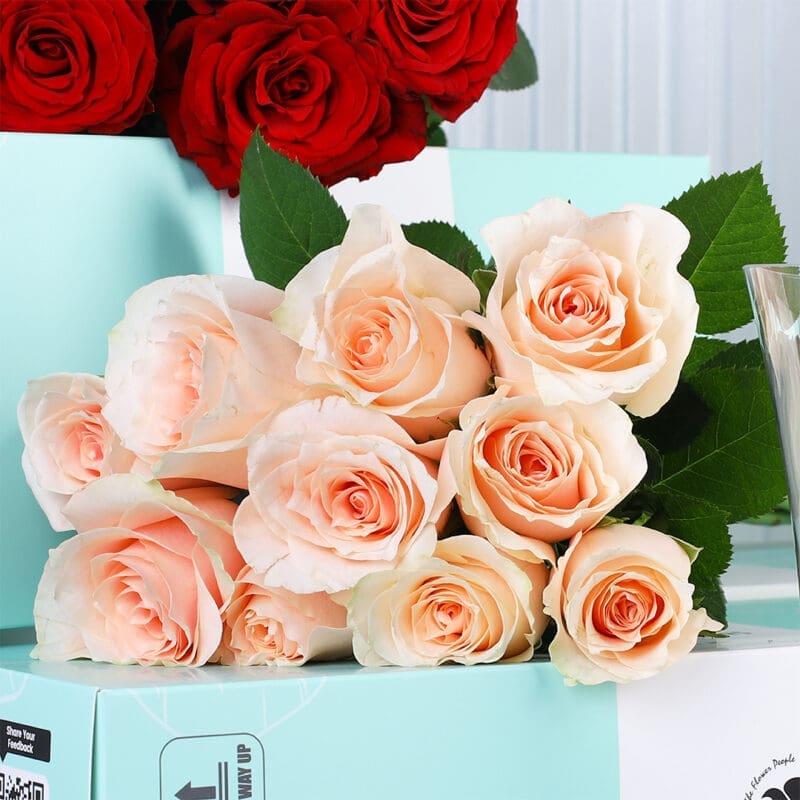 peach-red-roses-bunch-04 peach red roses bunch 04