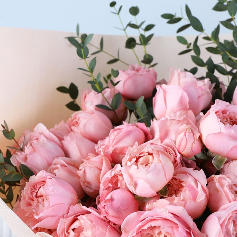 pink-spray-rose-bouquet-ferrero-16pcs_05 pink spray rose bouquet ferrero 16pcs 05