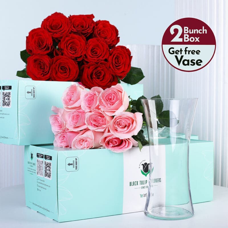 red-light-pink-bunch Red roses and Light Pink roses bunches in a green box with vase.