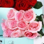 Red & Light Pink Roses Bunch 5 red-light-pink-bunch_05