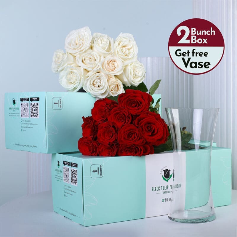 red-white-roses-bunch-01 Red roses and white roses bunches in a green box with vase.