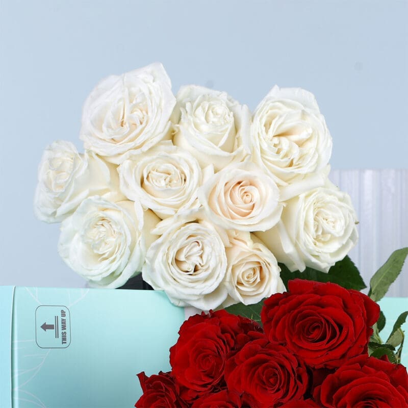 red-white-roses-bunch-04 red white roses bunch 04