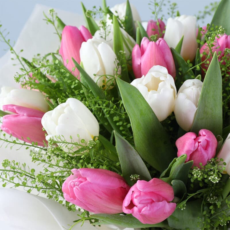 white-pink-tulip-mom-box_04 white pink tulip mom box 04