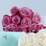 White & Purple Roses Bunch 4 white-purple-roses-bunch-04