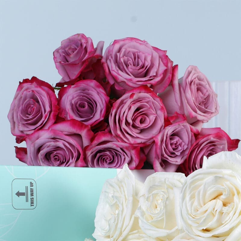 white-purple-roses-bunch-04 white purple roses bunch 04