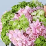 The Luxe Bloom Edit 2 chic-floral-arrangement-luxury-box_02