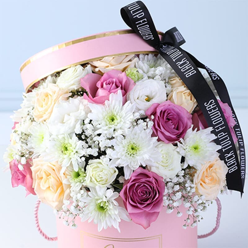 peach-and-lavender-bloom-collection_03 peach and lavender bloom collection 03