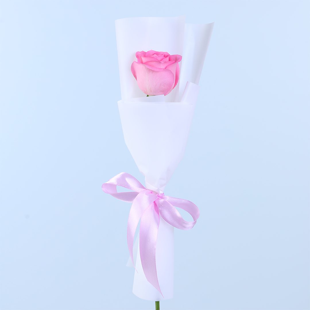 Pink Revival Rose - Elegant Romantic Flower Gift