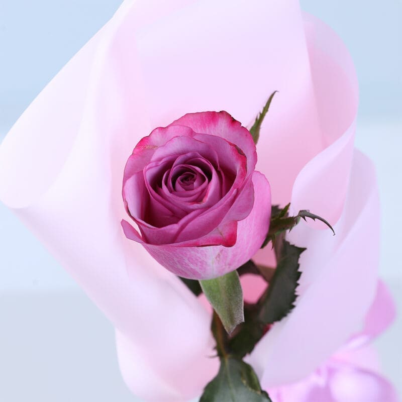single purple rose bouquet 2026 03
