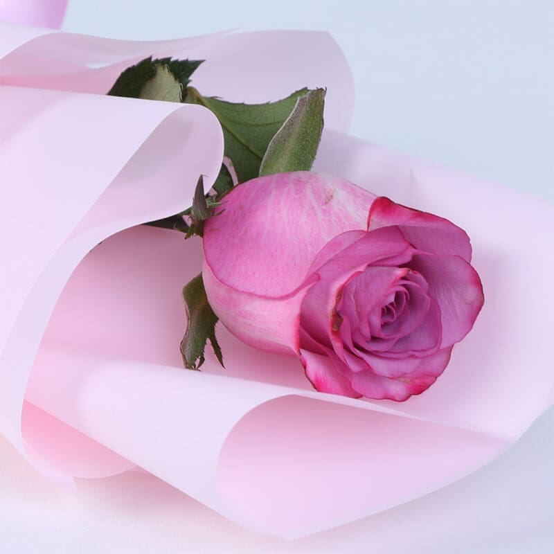 single purple rose bouquet 2026 04