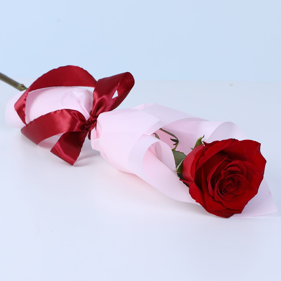 Single Red Rose Bouquet - Classic Romantic Flower Gift