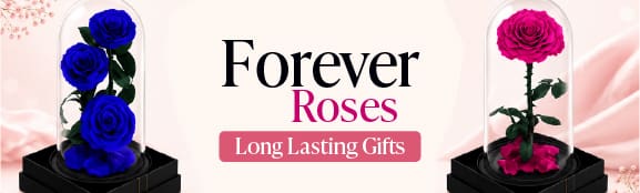 Forever Rose