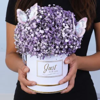 Gypsophila Butterflies Charm