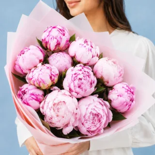 BTF Home 25 Pink peony bouquet featuring abundant blooms and delicate petals in a light pink Korean sheet.
