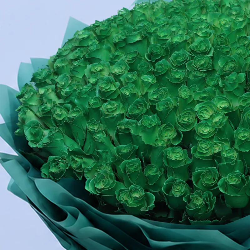 200 green rose luxury bouquet 03