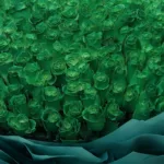 200-green-rose-luxury-bouquet_04