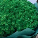 200-green-rose-luxury-bouquet_2026_02
