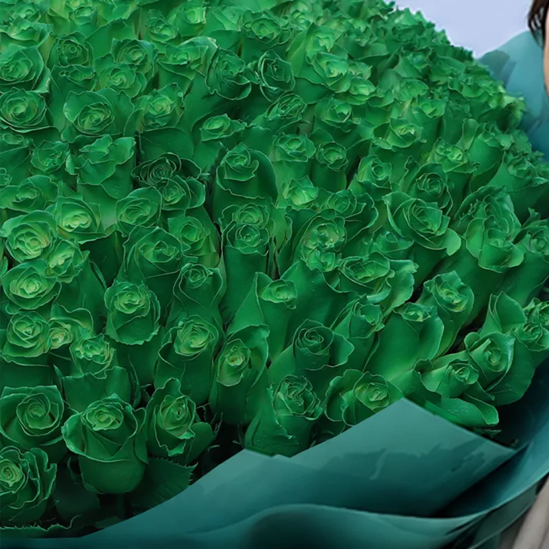 200 green rose luxury bouquet 2026 02