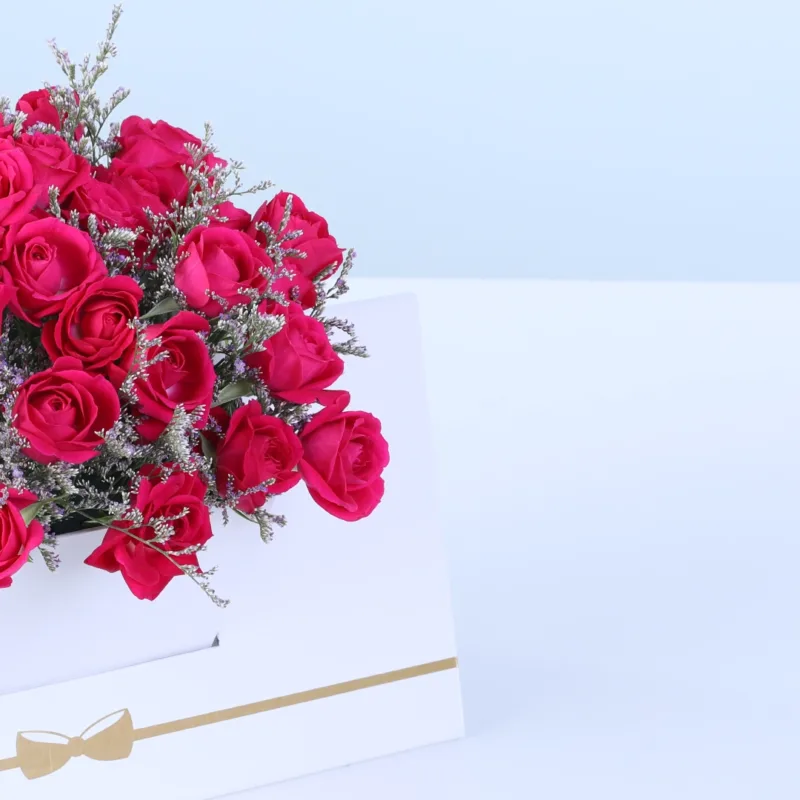 dark-pink-spray-rose-white-envelope-box_04 dark pink spray rose white envelope box 04