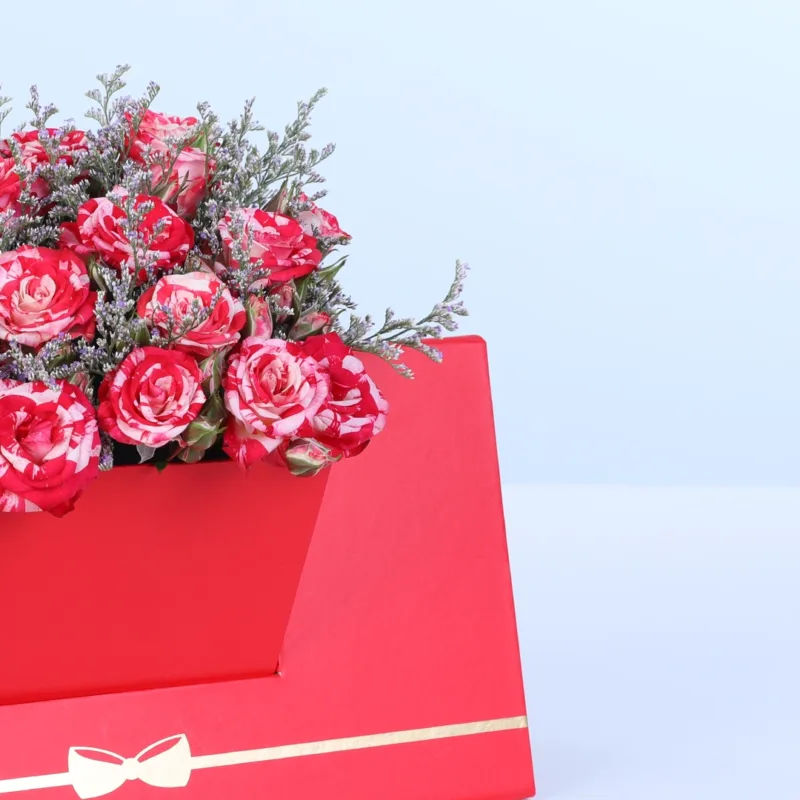 double-colour-spray-rose-envelope-box_04 double colour spray rose envelope box 04