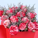Double Colour Spray Rose Envelope Box 5 double-colour-spray-rose-envelope-box_05