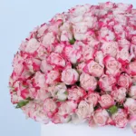 Double Colour Spray Rose Hat Box 4 double-colour-spray-rose-hat-box_04