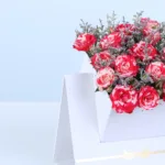 Double Colour Spray Rose White Envelope Box 3 double-colour-spray-rose-white-envelope-box_03