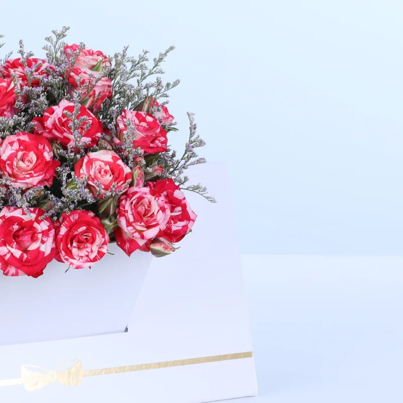double-colour-spray-rose-white-envelope-box_04 double colour spray rose white envelope box 04