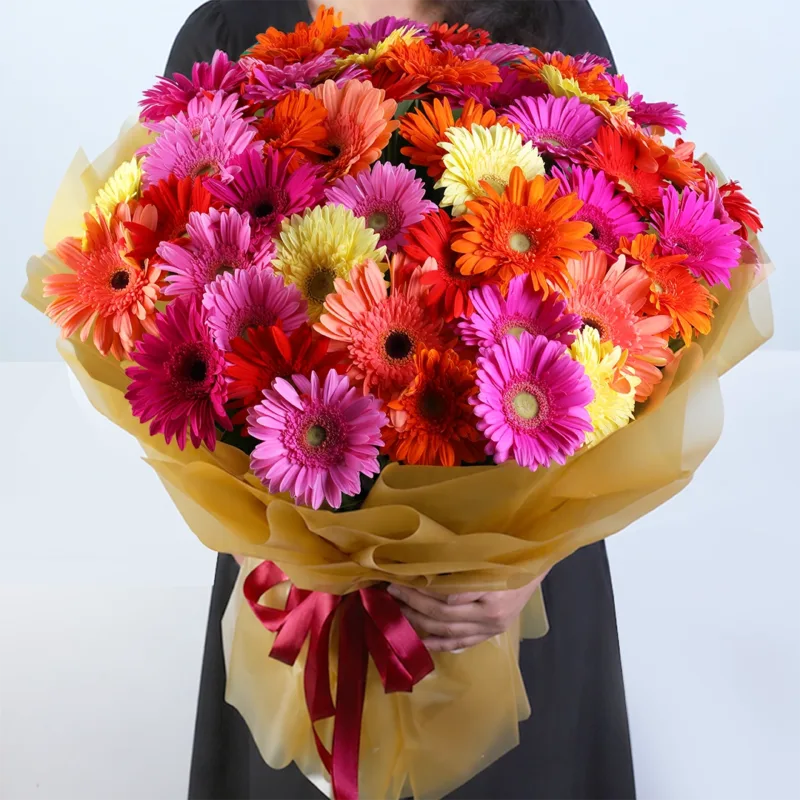 mixed-gerbera-premium-hand-bouquet Mixed Gerbera Premium Hand Bouquet featuring 50 stems of fresh mixed gerberas hand-tied in premium floral wrapping for gifting and special occasions.