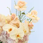 Peach Blossom Hat Box 2 peach-blossom-hat-box_02