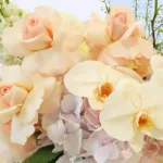 Peach Blossom Hat Box 4 peach-blossom-hat-box_04