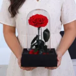 Single Red Forever Rose Glass Dome 1 single-red-forever-rose-glass-dome