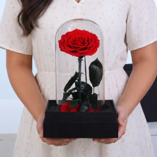 Single Red Forever Rose Glass Dome