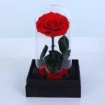 Single Red Forever Rose Glass Dome 2 single-red-forever-rose-glass-dome_02