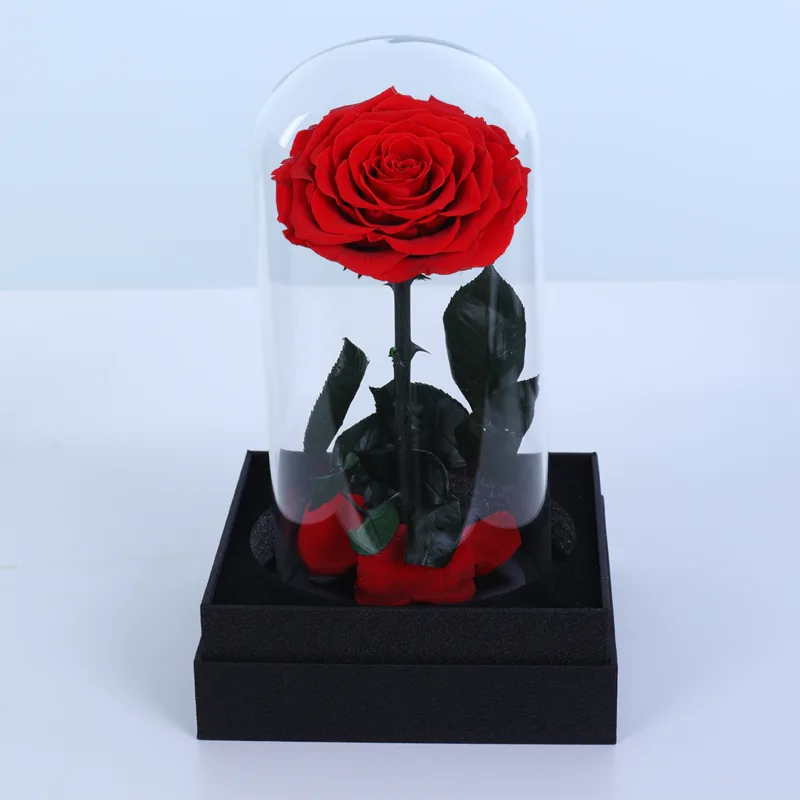 single-red-forever-rose-glass-dome_02 single red forever rose glass dome 02